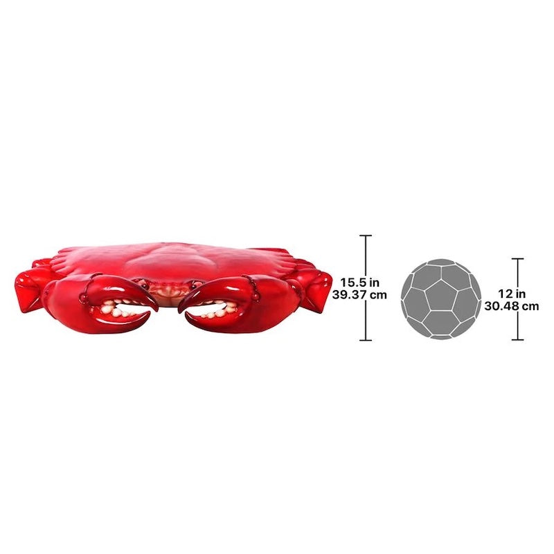 Size reference of giant crab 15.5 inches tall compared to a 12 inch soccer ball.