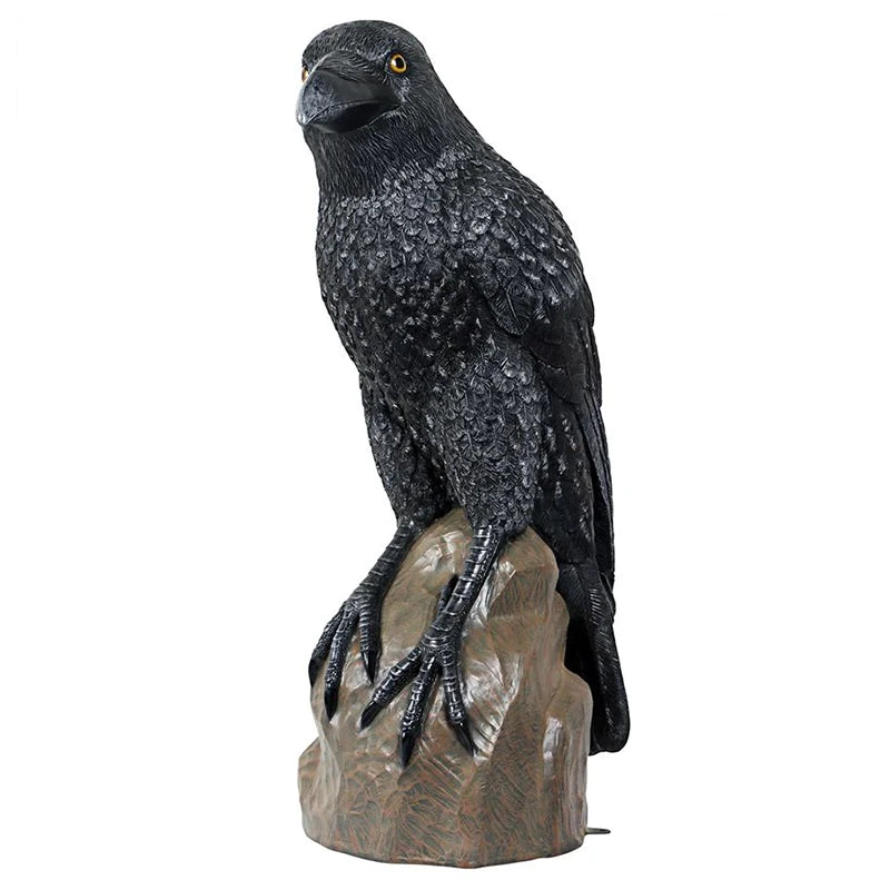 Gothic Raven Statue - Large 5 Feet Tall front right corner view on a white background