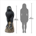 Gothic Raven Statue - Large 5 Feet Tall front view with dimensions on a white background