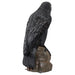 Gothic Raven Statue - Large 5 Feet Tall rear right corner view on a white background