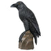 Gothic Raven Statue - Large 5 Feet Tall right side view on a white background